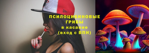 хмурый Алексеевка