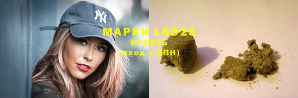 тгк Алзамай