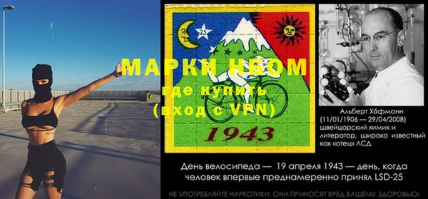 тгк Алзамай
