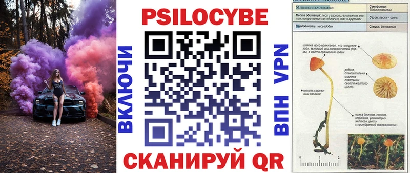 где купить наркотик  Светлоград  Псилоцибиновые грибы мицелий 