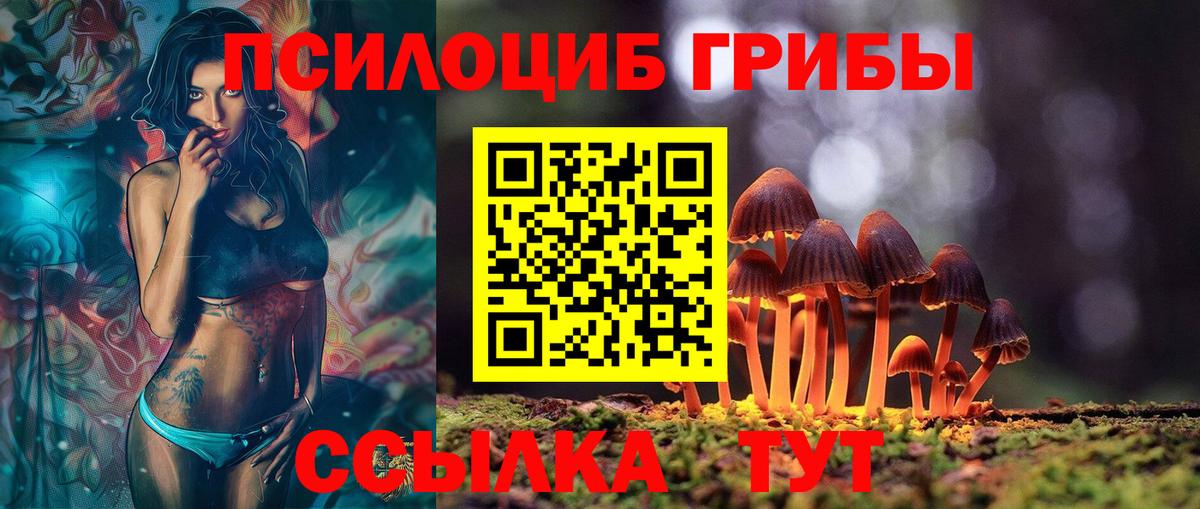 Галлюциногенные грибы мухоморы  Вход с VPN  Светлоград  купить закладку  Псилоцибиновые грибы MAGIC MUSHROOMS 