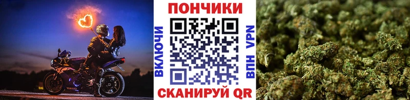 Бошки марихуана Bruce Banner  kraken маркетплейс  Светлоград  цена  